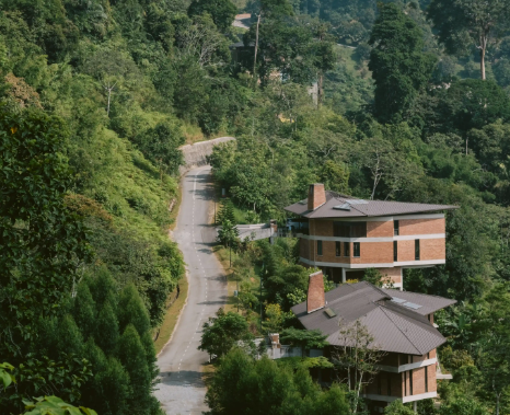 Janda Baik Adventure Tour image 6