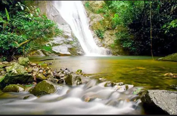 Janda Baik Adventure Tour image 2