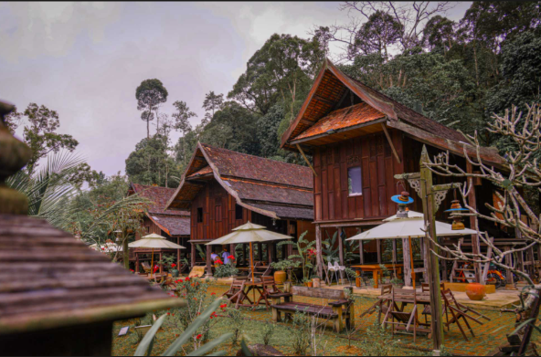 Janda Baik Adventure Tour image 4