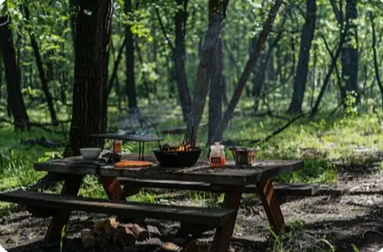 BBQ & Nature Tour image 3