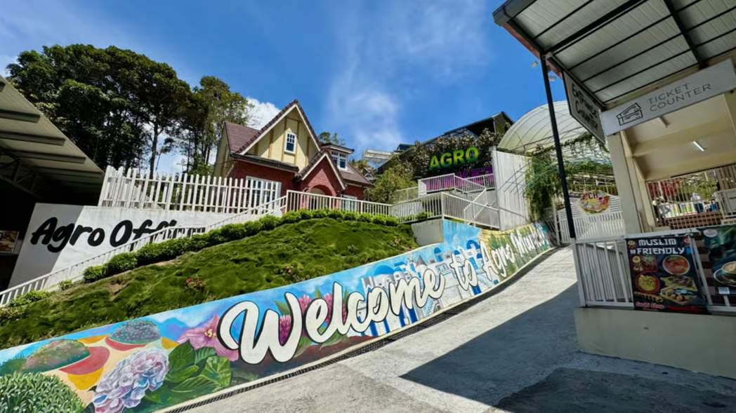 Cameron Highlands Tour - City Tour image 3