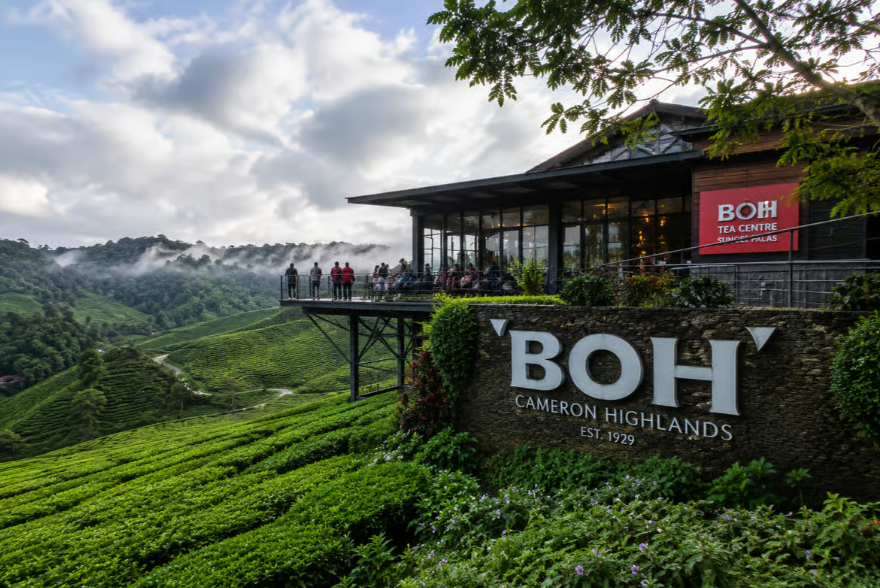 Cameron Highlands Tour - City Tour image 7