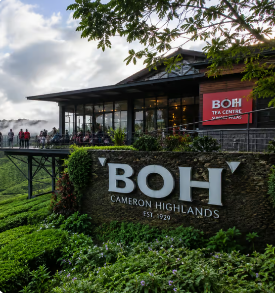 Cameron Highlands Tour - City Tour image 1