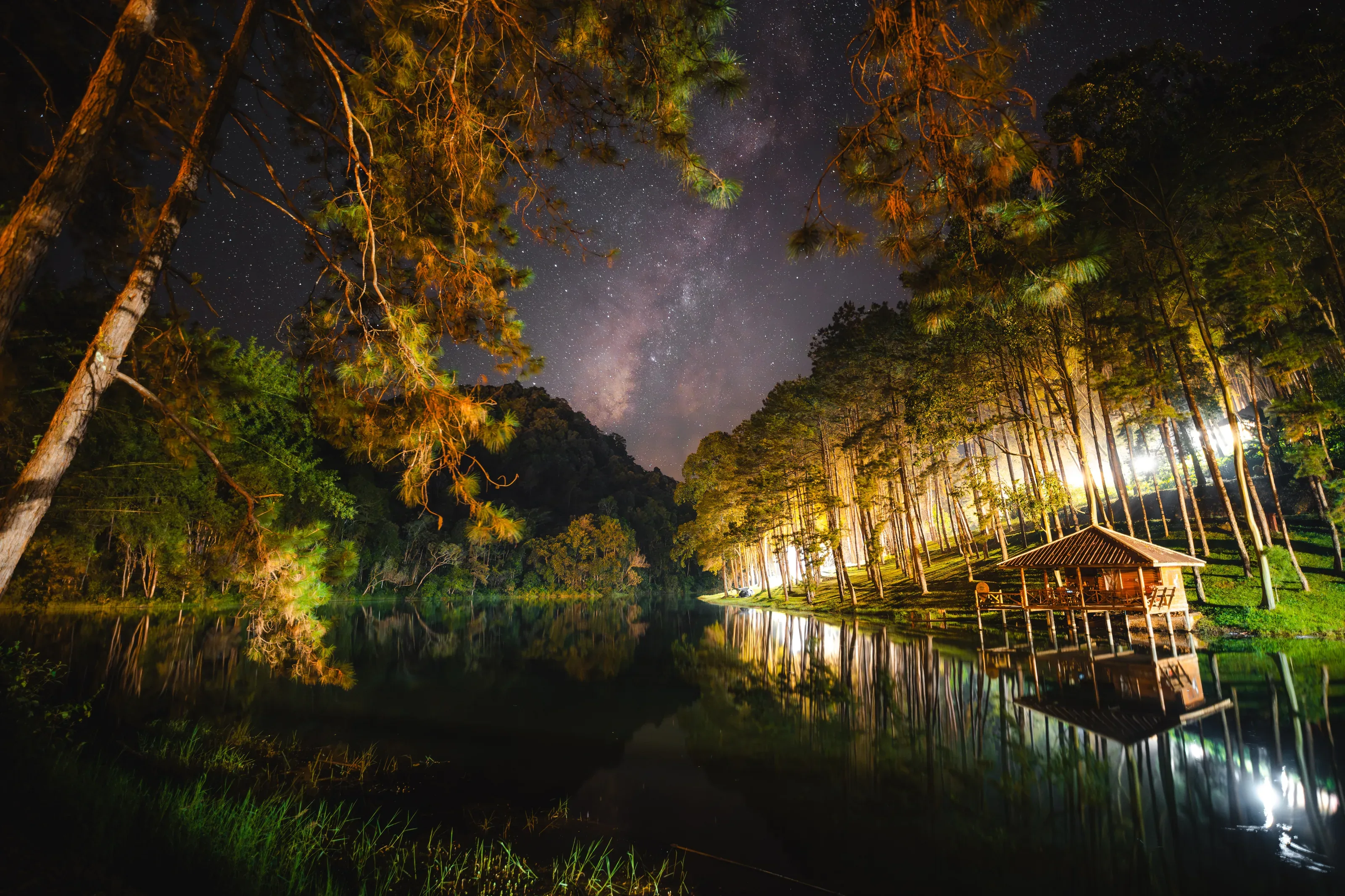 Fireflies image 5